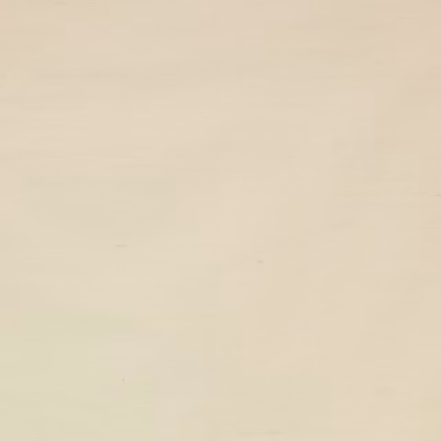 Plain soft beige silk fabric swatch with a subtle smooth sheen