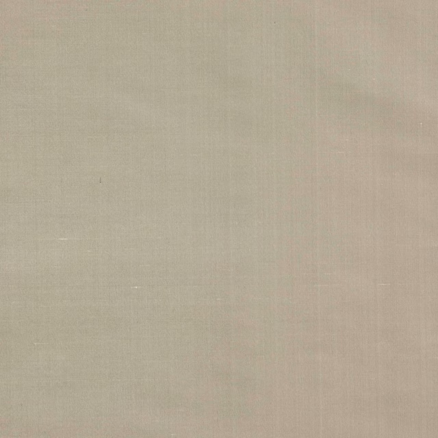 Pale birch-cream silk fabric with a subtle plain weave and soft sheen