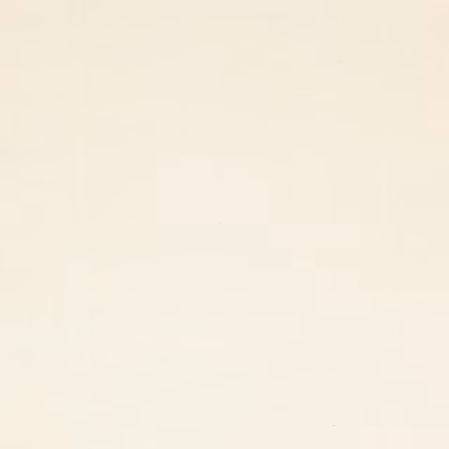 Plain bone-cream silk swatch with a soft luminous sheen