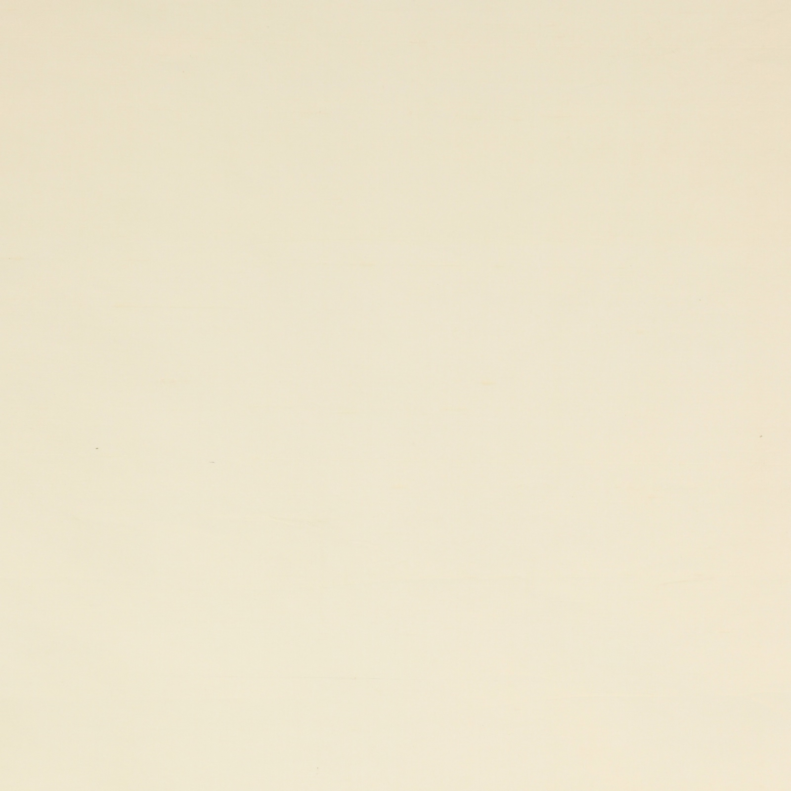 Pale ivory cream silk fabric swatch with a smooth plain surface