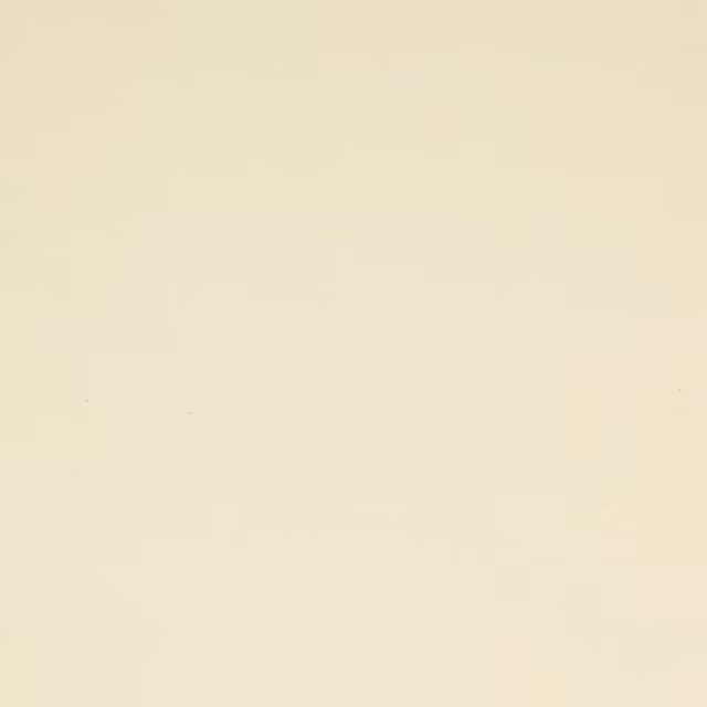 Pale ivory cream silk fabric swatch with a smooth plain surface