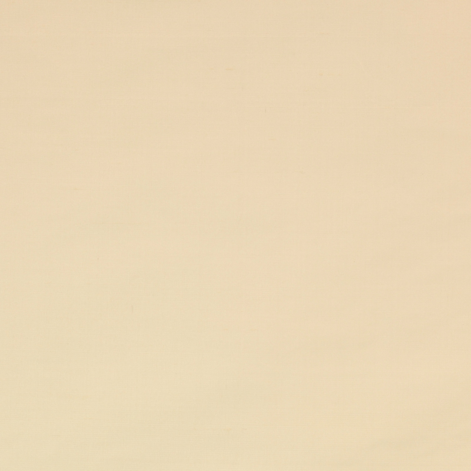 Pale warm cream silk swatch with a smooth, subtle sheen