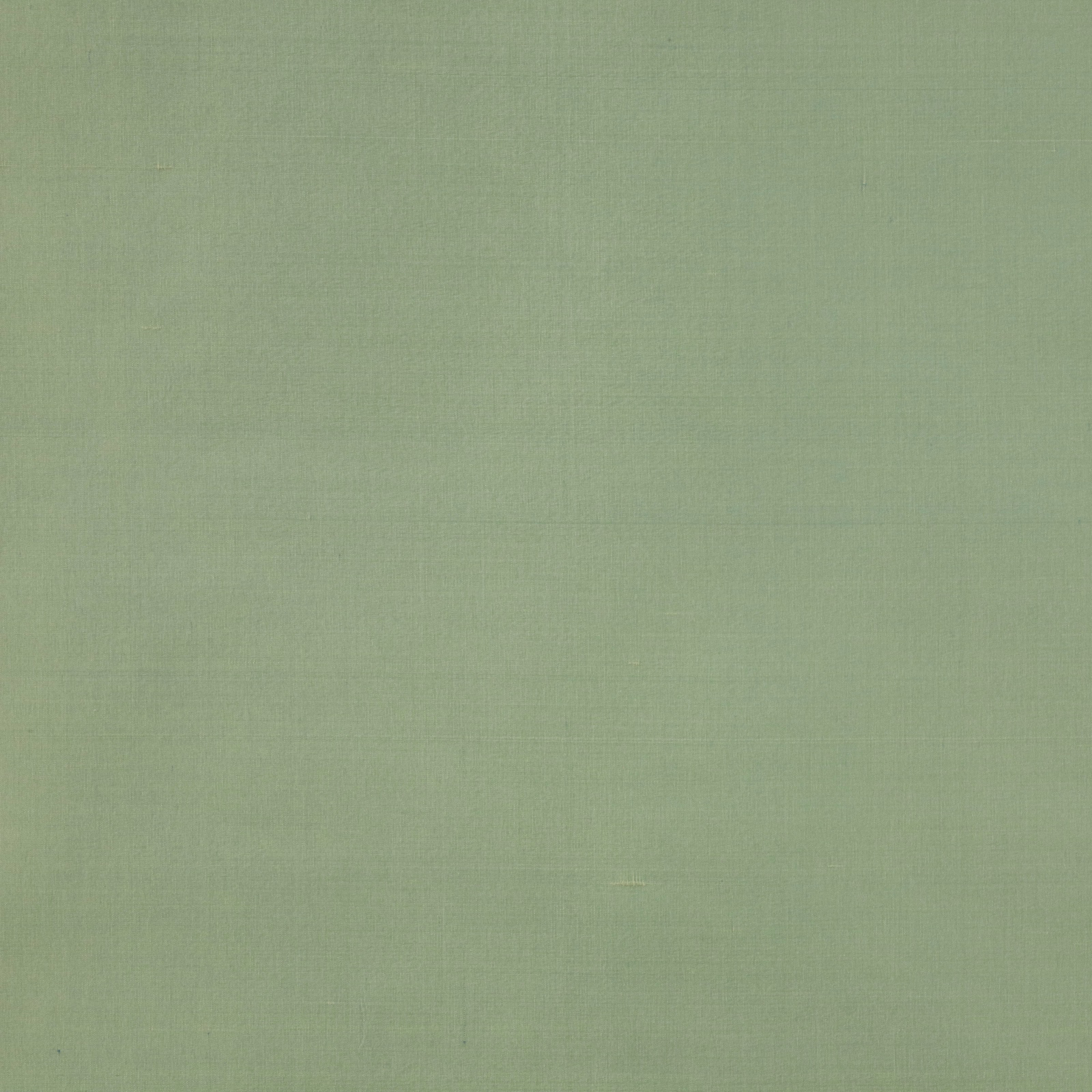 Pale eau de nil green silk with a smooth plain weave and subtle sheen