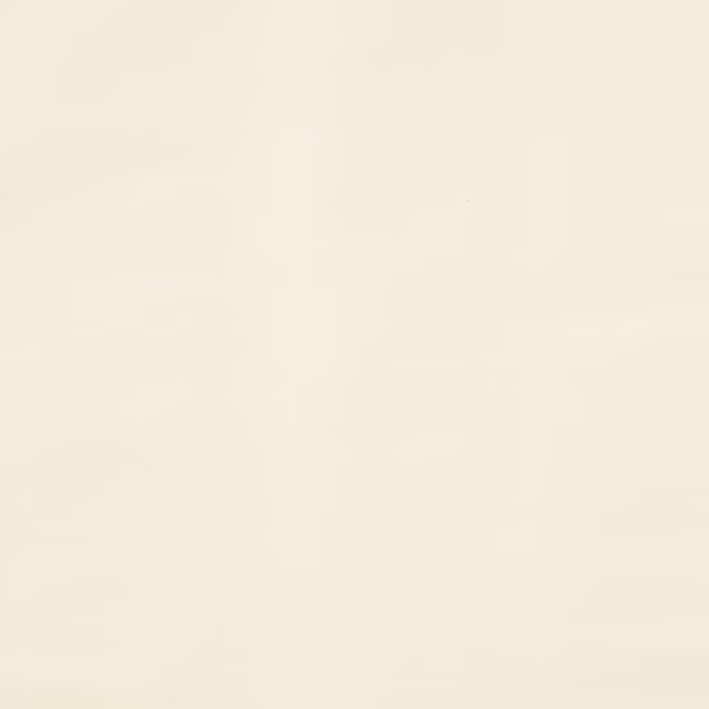 Pale oyster cream silk with a smooth, softly lustrous plain weave