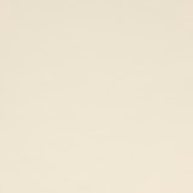 Pale warm cream silk fabric swatch with a smooth plain finish