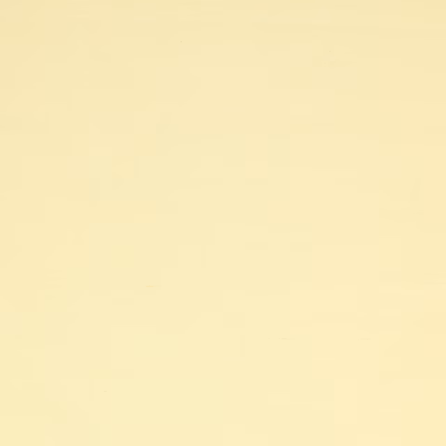 Plain pale yellow silk swatch with a soft, creamy sheen
