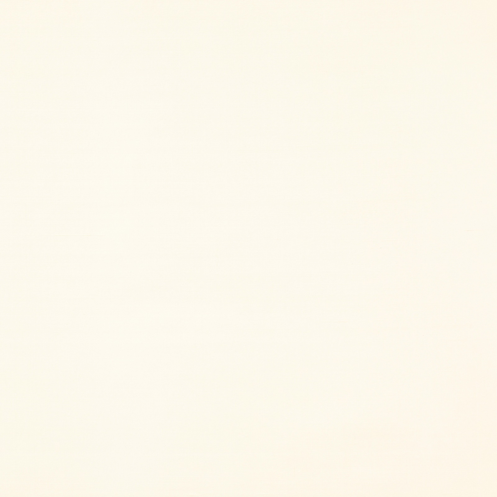 Pale winter white silk swatch with a soft, luminous plain weave