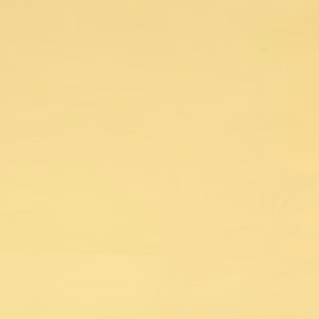 Plain soft buttery yellow silk swatch with a smooth, luminous finish