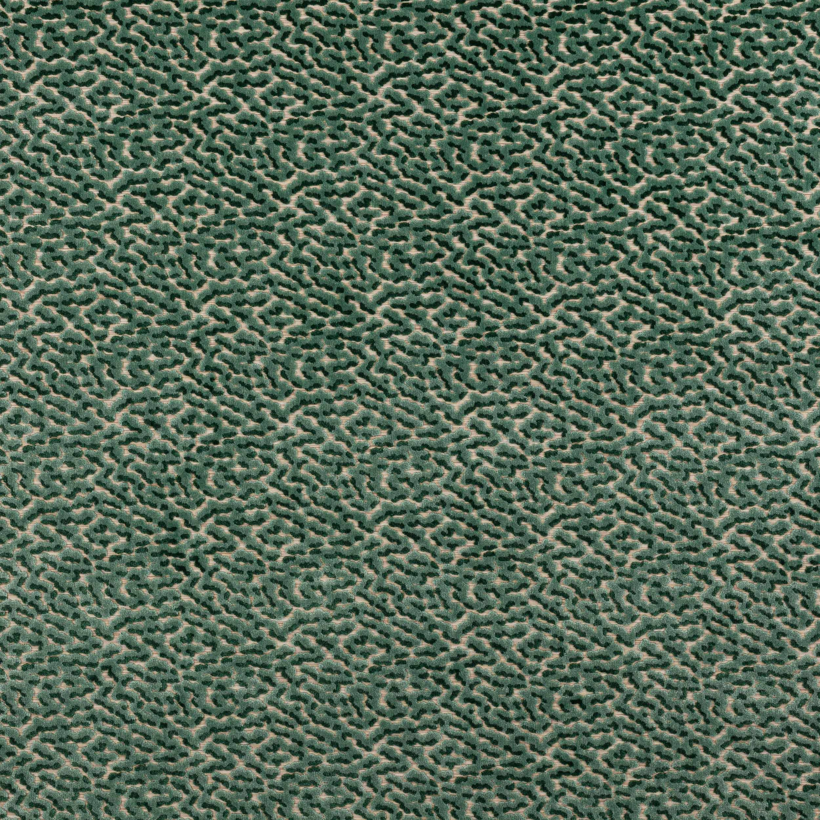 Close-up of mossy green textured fabric with dense abstract small-scale pattern