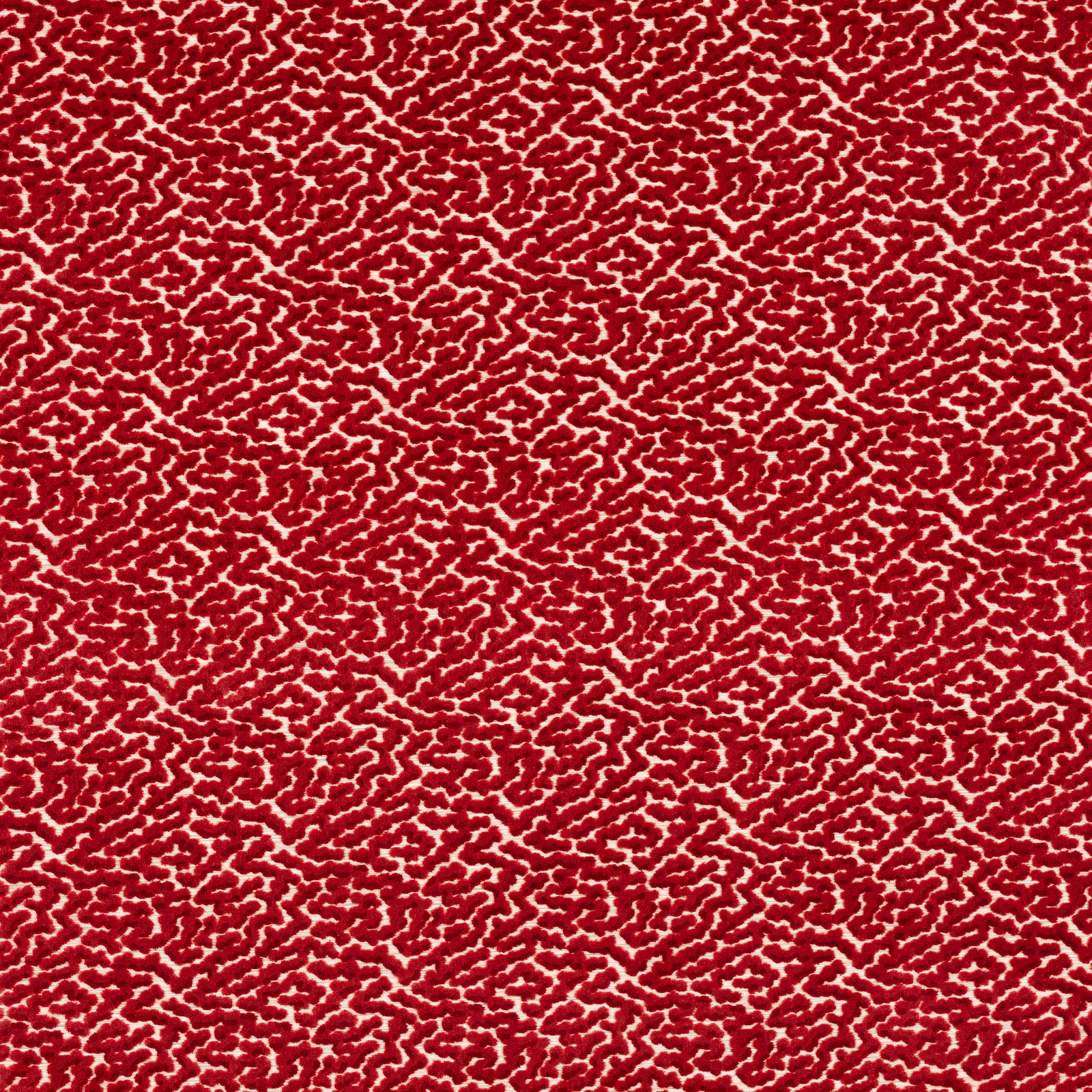 Close-up of a small-scale red patterned fabric with a dense, textured repeat