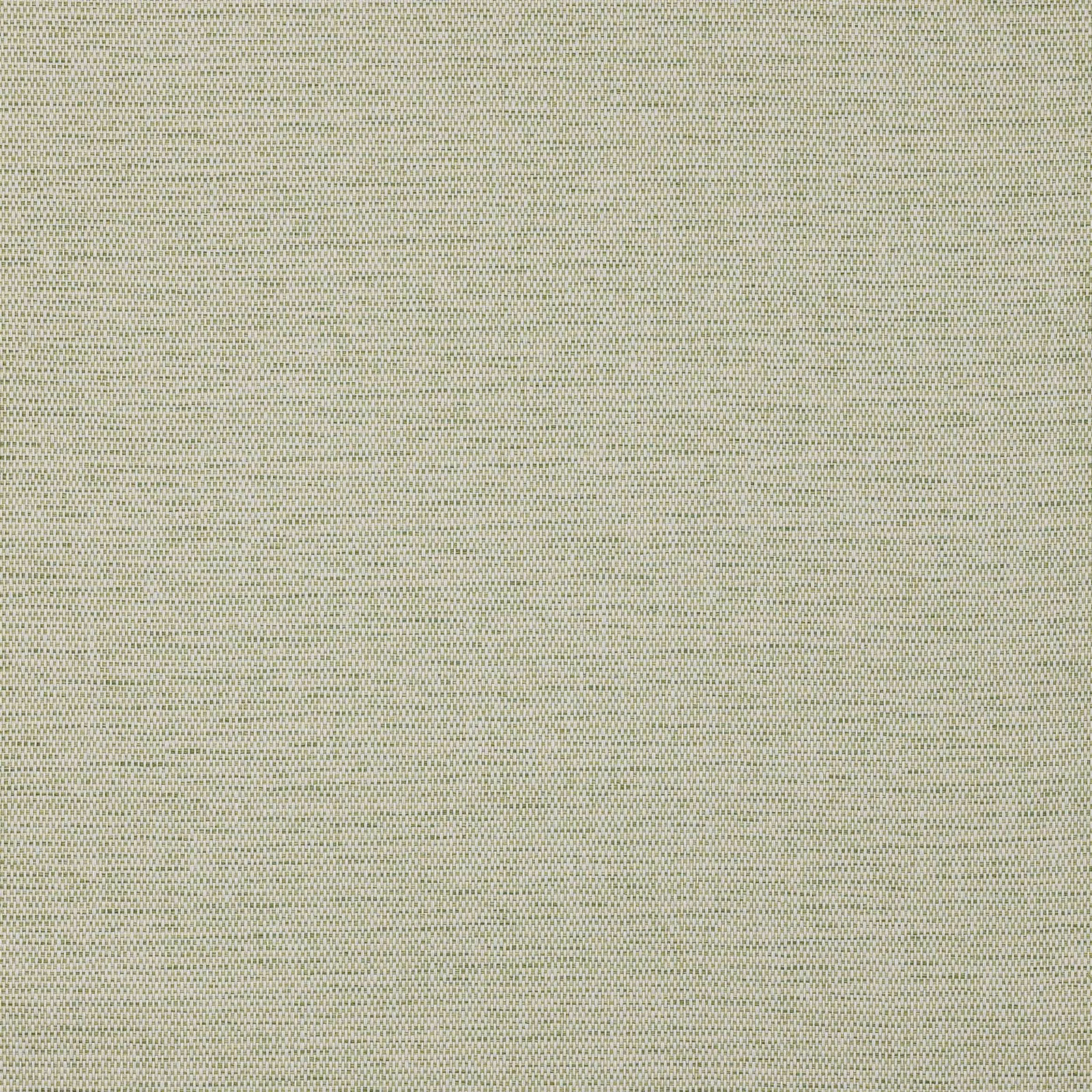 Pale fern-green wallpaper with a fine, tightly regular textured surface