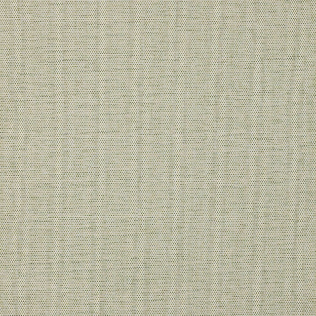 Pale fern-green wallpaper with a fine, tightly regular textured surface