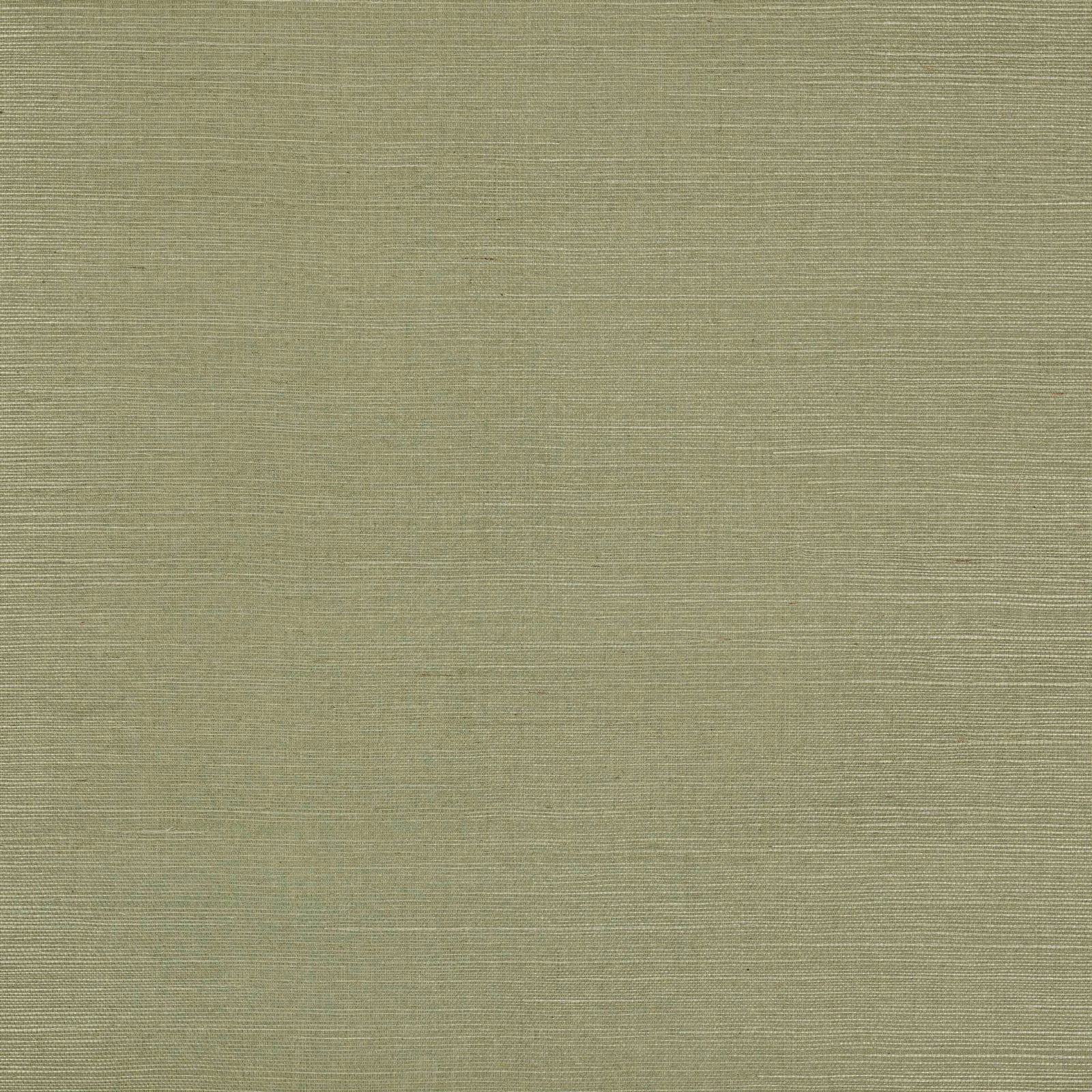 Muted fern-olive wallcovering with fine horizontal sisal weave and subtle tonal variation