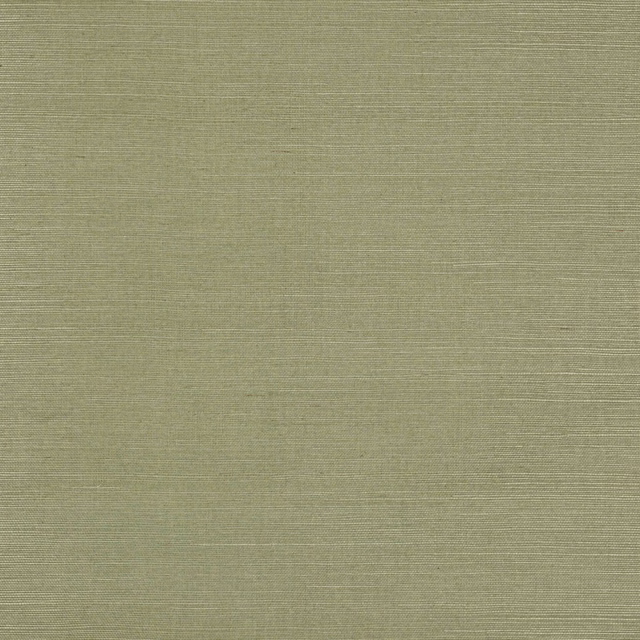 Muted fern-olive wallcovering with fine horizontal sisal weave and subtle tonal variation