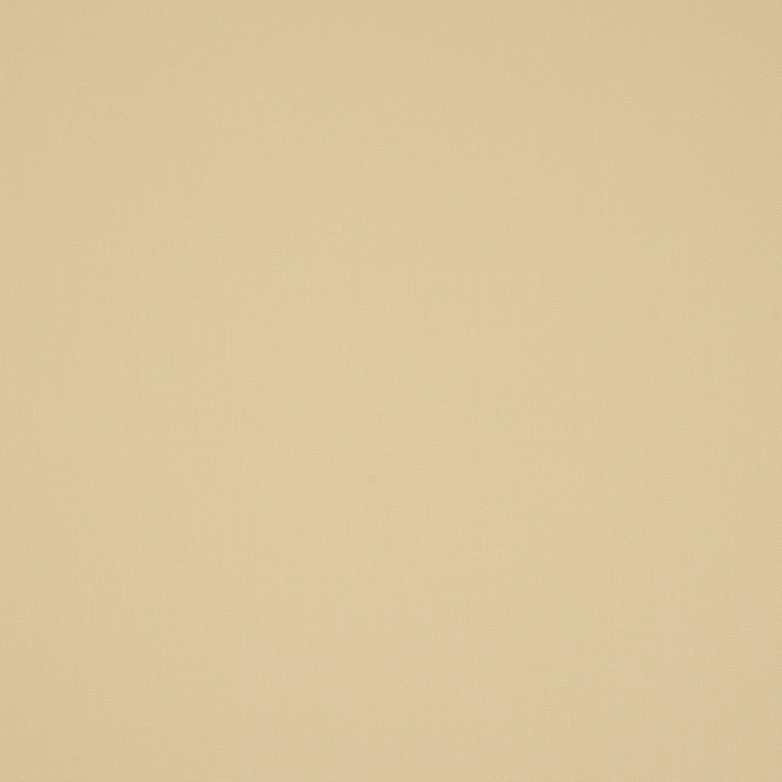 Pale Naples yellow plain cotton fabric swatch with a soft matte finish