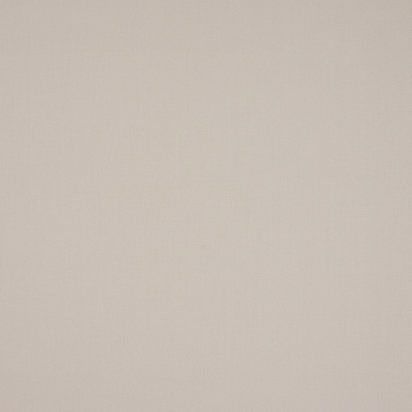 Plain soft ivory cotton swatch with a fine matte weave
