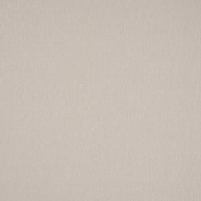 Plain soft ivory cotton swatch with a fine matte weave