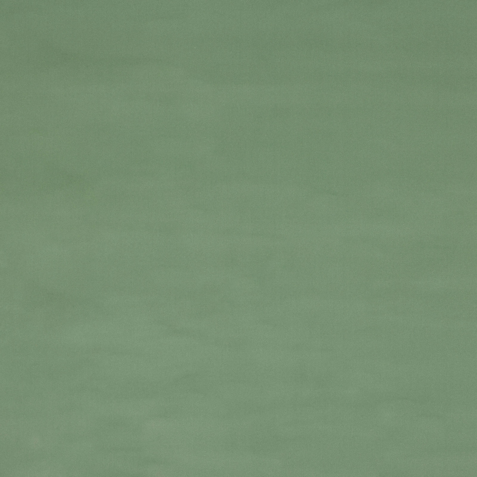 Soft celadon green plain cotton swatch with a smooth matte surface