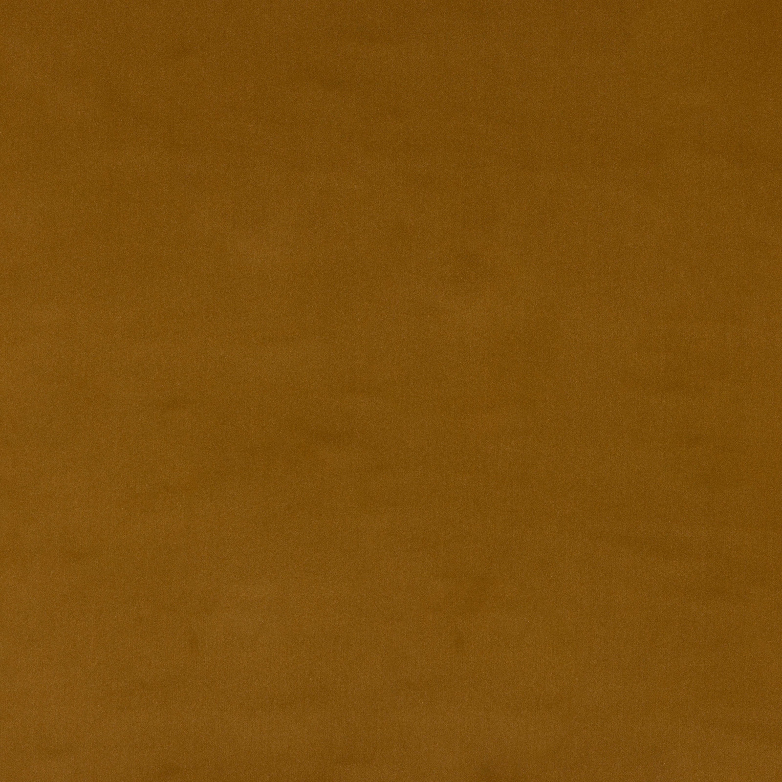 Plain muted ochre-gold cotton swatch with a soft matte weave