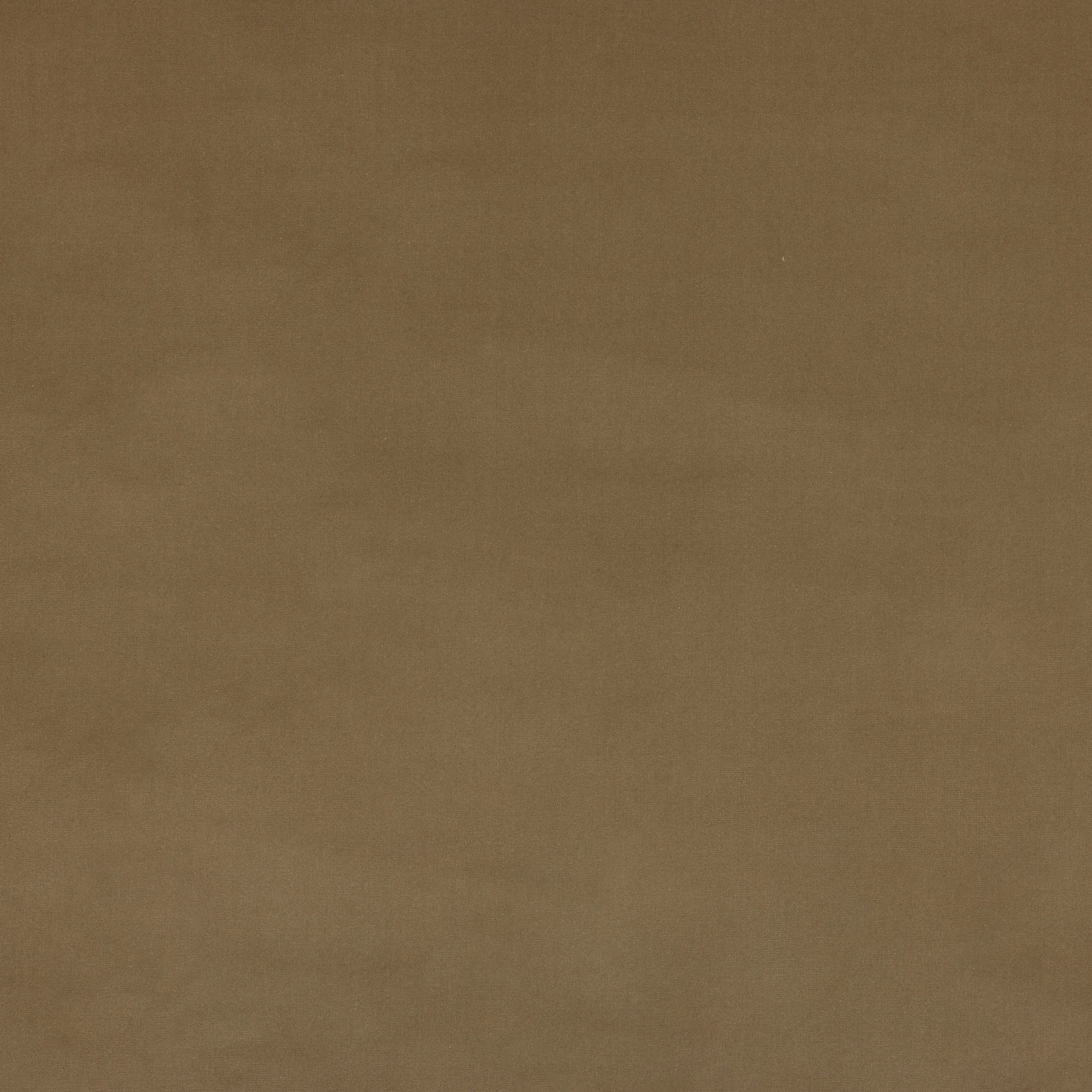Plain warm greige cotton fabric with a matte, softly woven surface