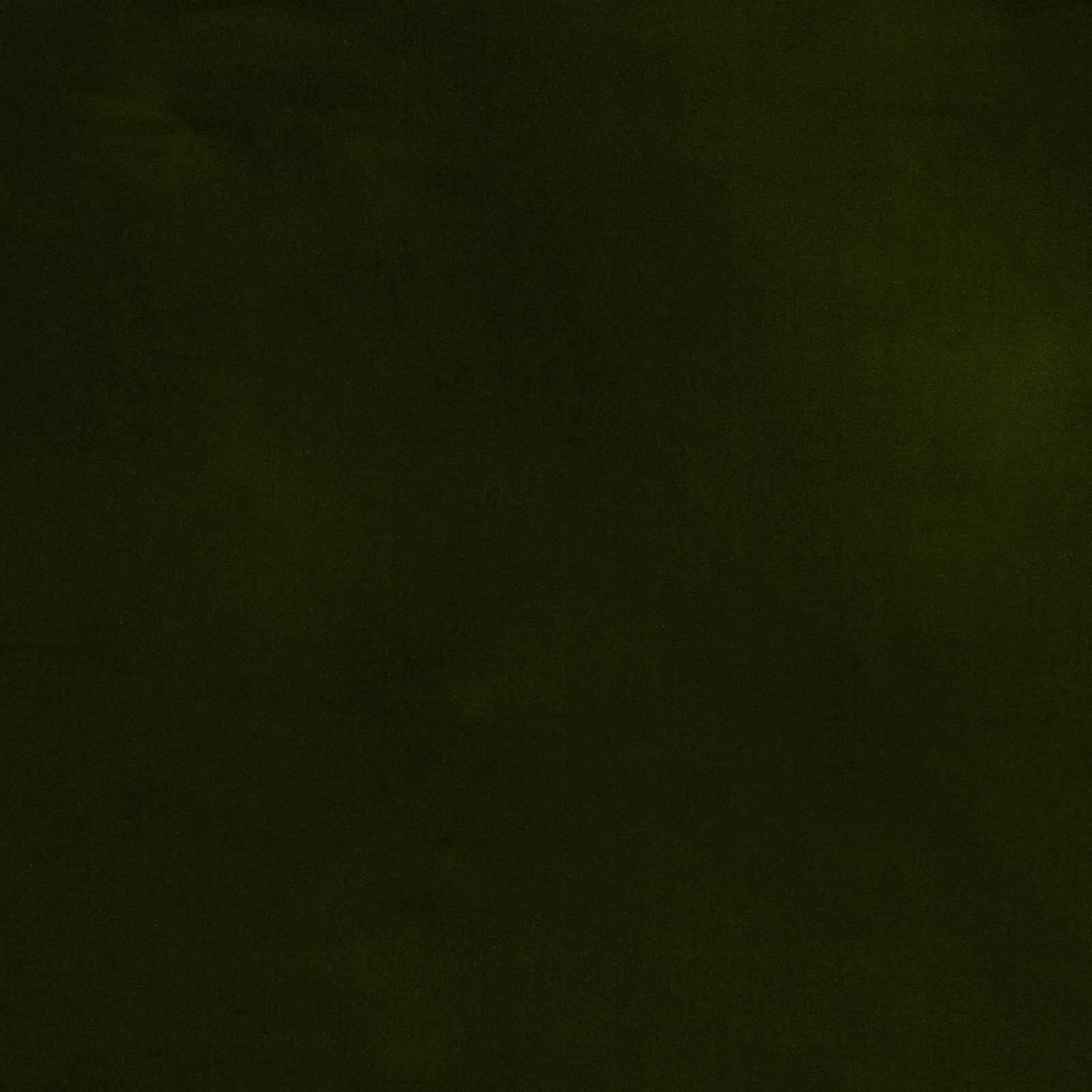 Deep moss green plain cotton fabric with a soft, even texture