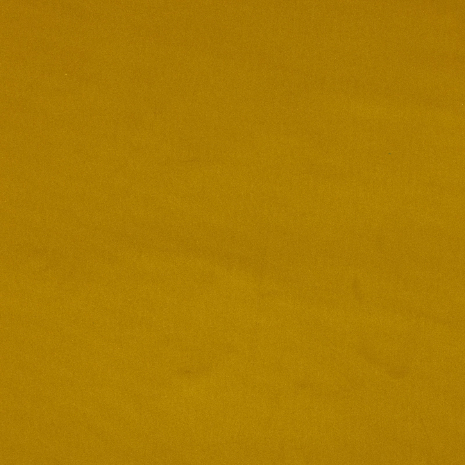 Solid mustard yellow cotton fabric swatch with a matte plain weave