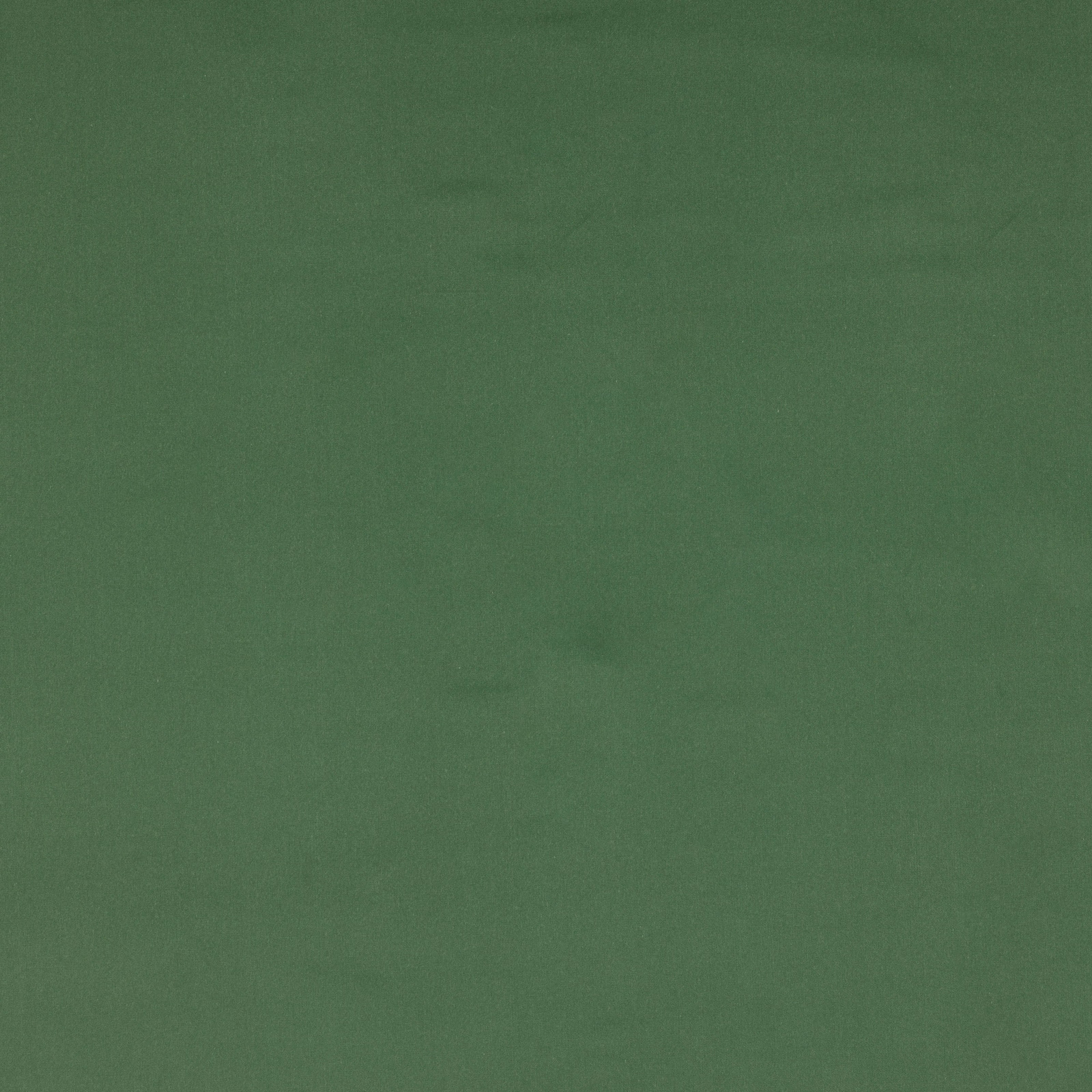 Plain muted sage green cotton fabric with a soft matte texture