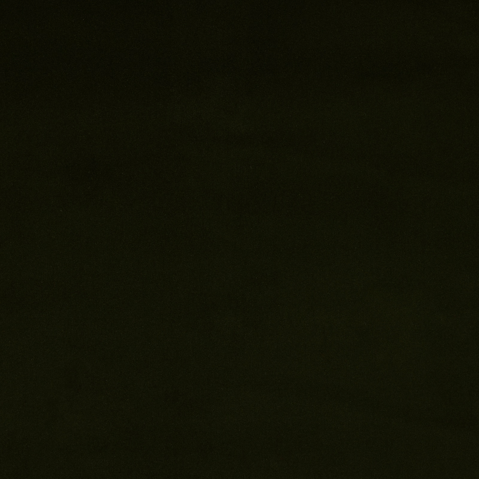 Dark olive plain cotton swatch with a matte, near-black surface