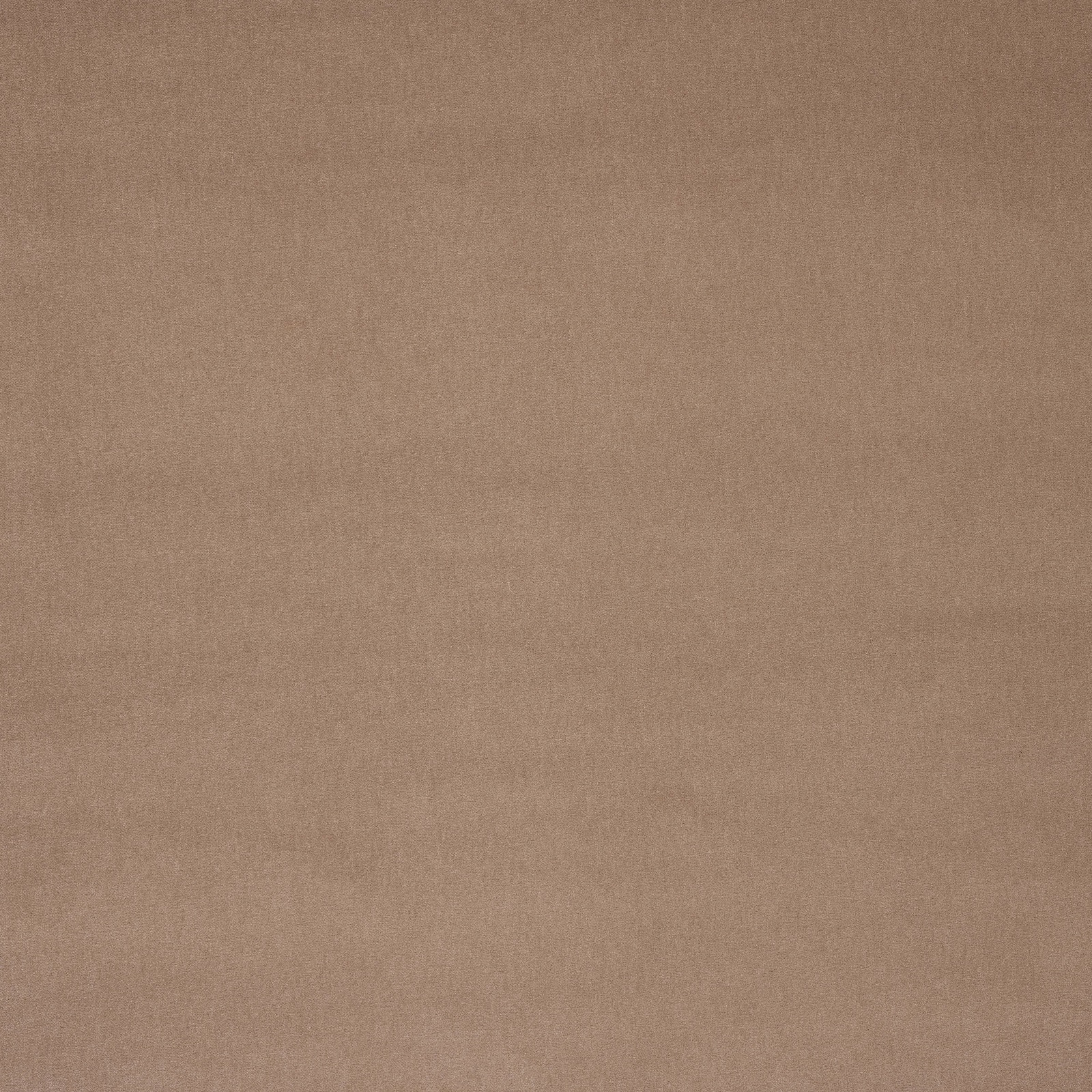 Plain soft taupe beige fabric swatch with a fine matte texture
