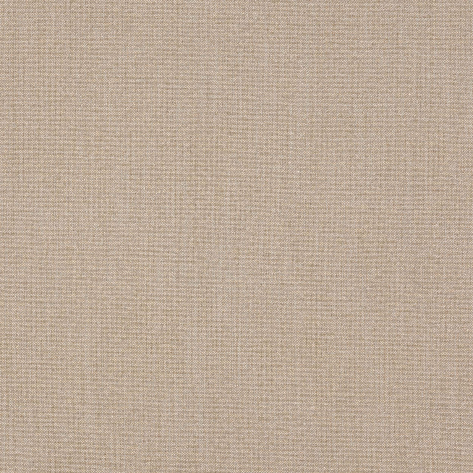 Soft oyster-beige plain woven fabric with a fine, even texture