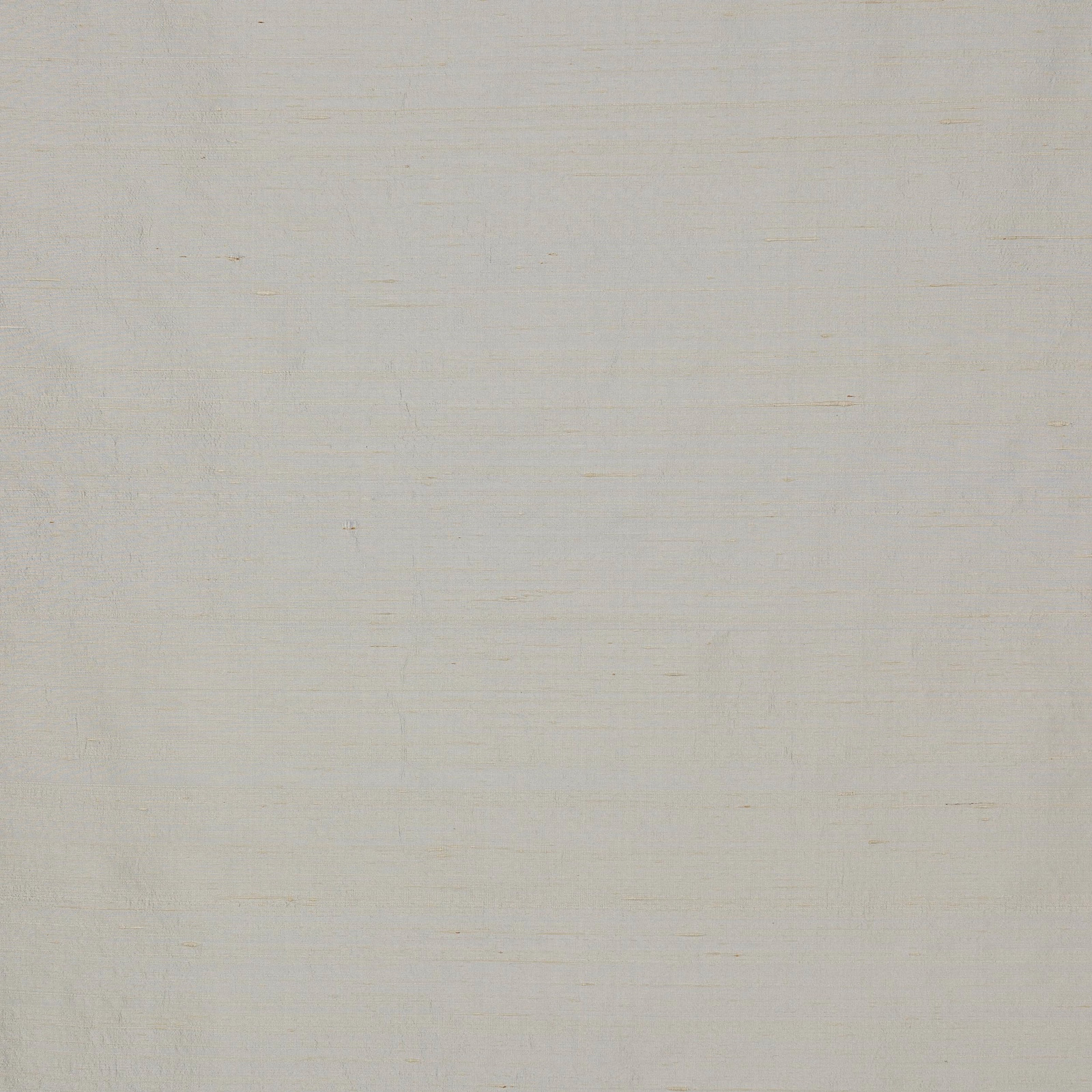 Pale silver-grey silk with a smooth plain weave and subtle slub texture