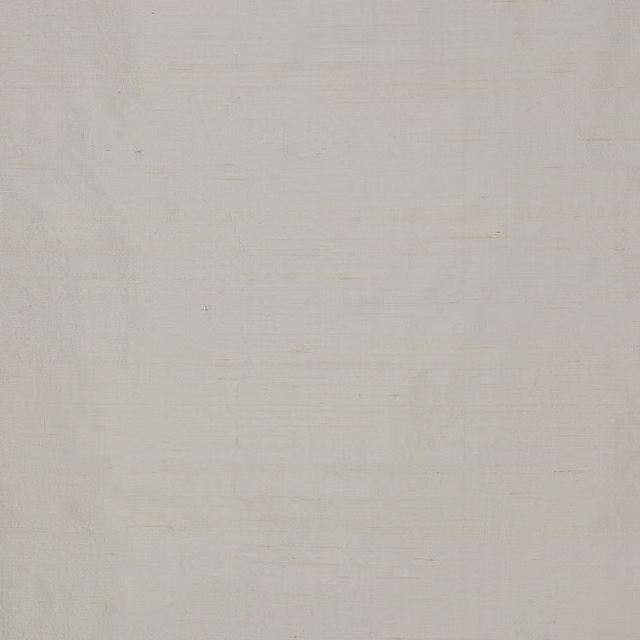 Pale silver-grey silk with a smooth plain weave and subtle slub texture