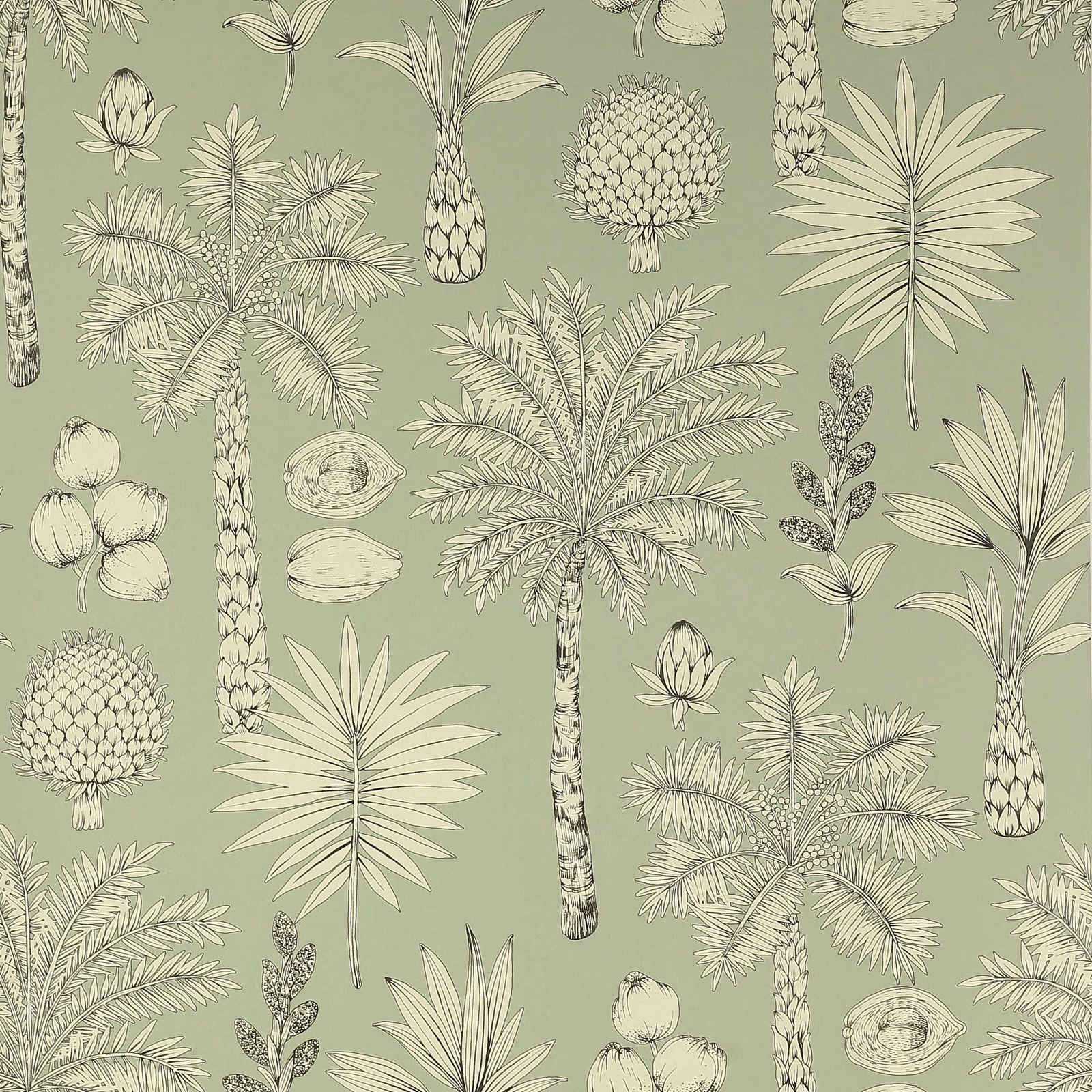 Muted sage wallpaper with cream palms, pineapples and fine botanical linework