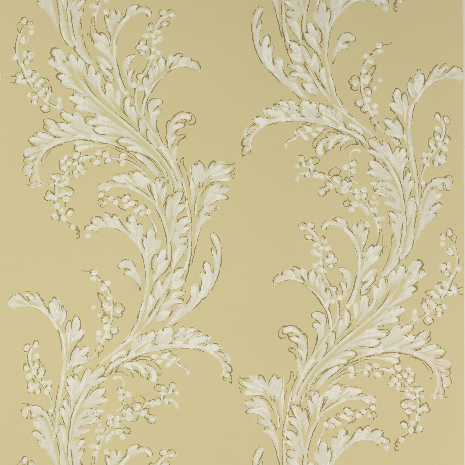 Muted ochre wallpaper with sweeping ivory acanthus foliage and delicate sprigs