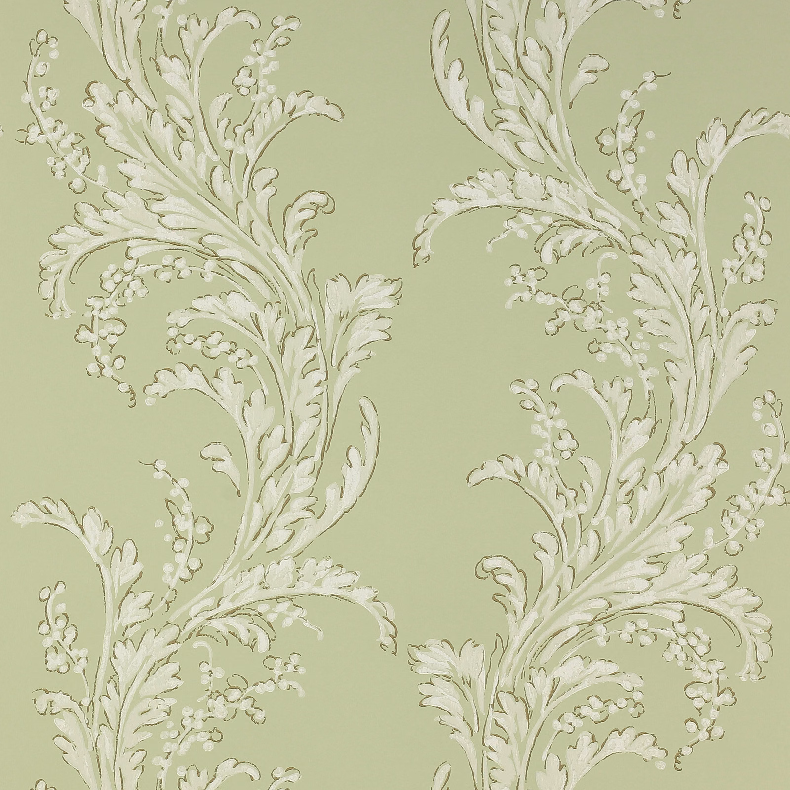 Soft sage wallpaper with ivory acanthus scrolls and tiny clustered blossoms