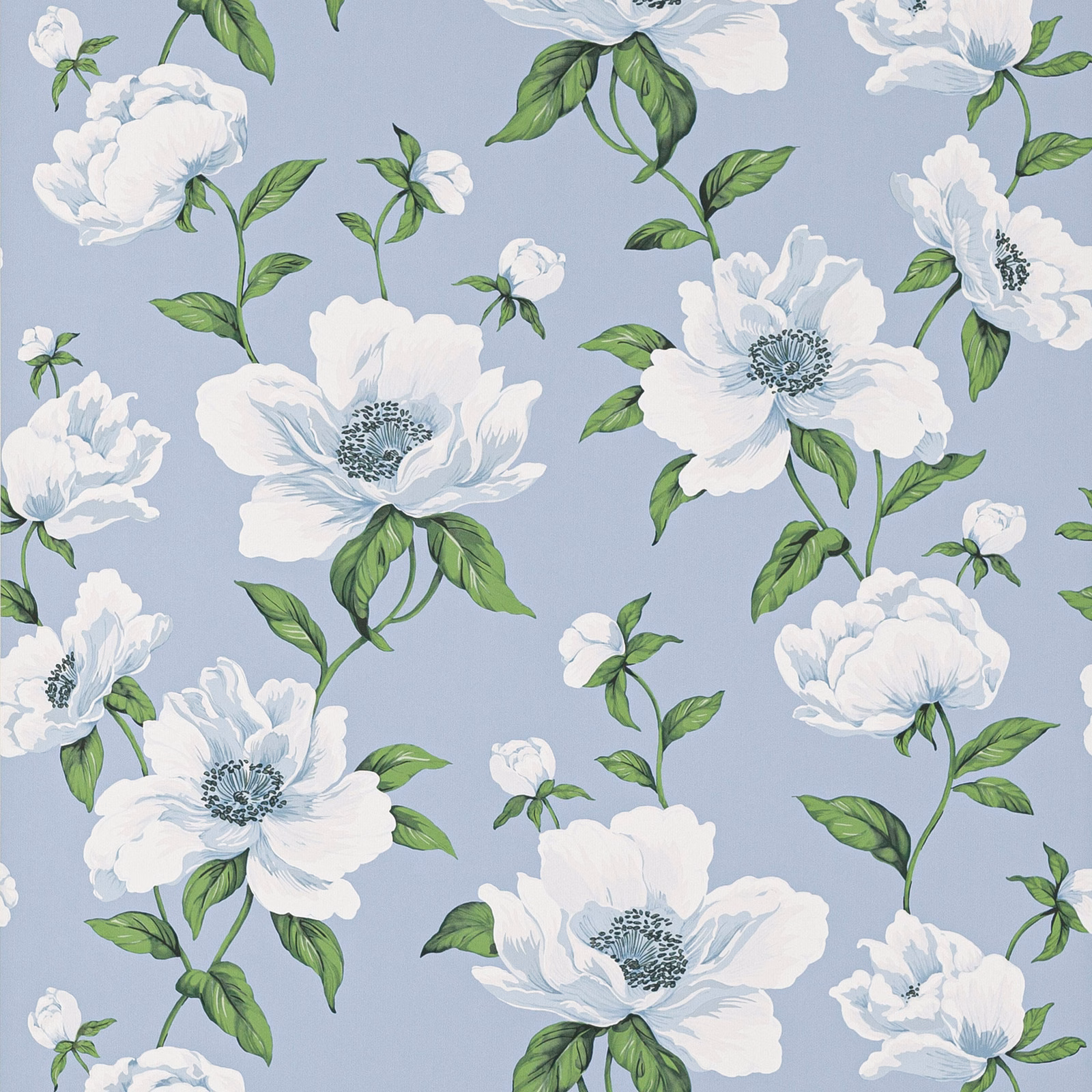 Powder-blue wallpaper with white flowers, blue-grey centres and green leafy stems