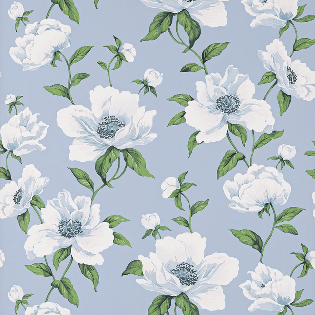 Powder-blue wallpaper with white flowers, blue-grey centres and green leafy stems