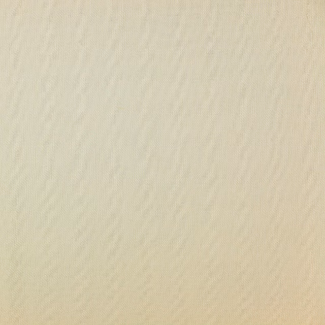 Pale parchment cream plain fabric swatch with a smooth, lightly textured surface