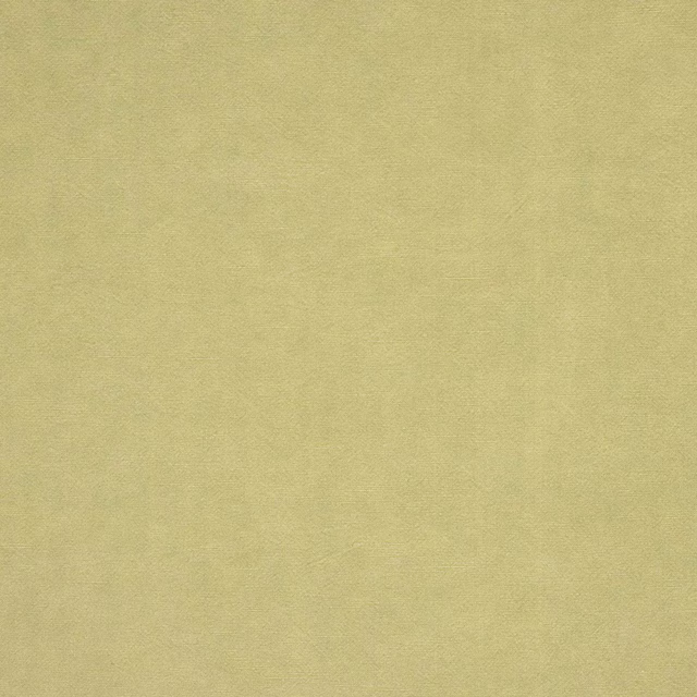 Soft celery green plain woven fabric swatch with a fine matte texture