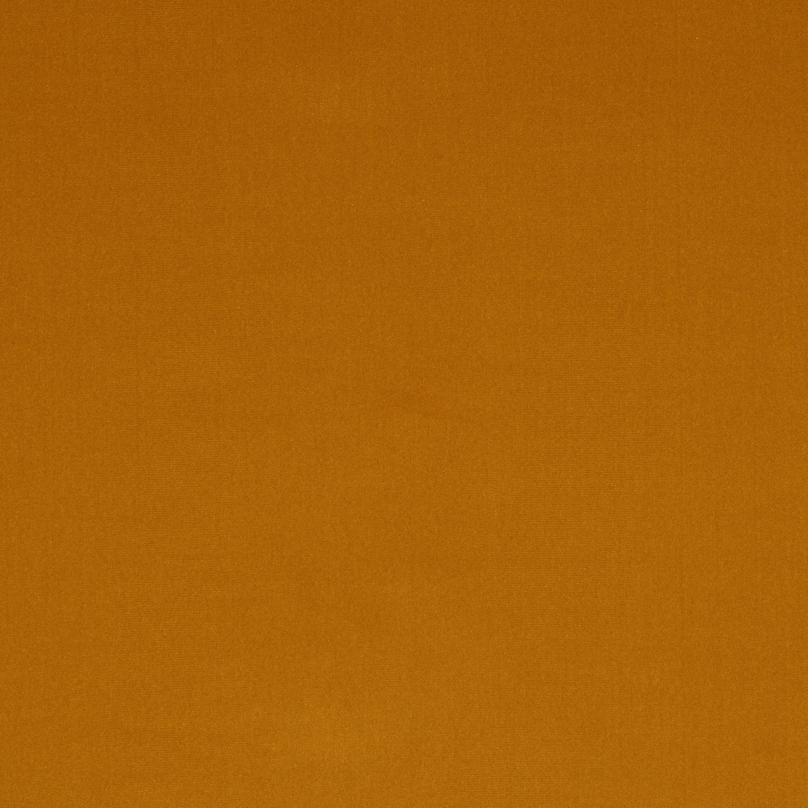 Solid curry-gold plain fabric swatch with a smooth matte weave