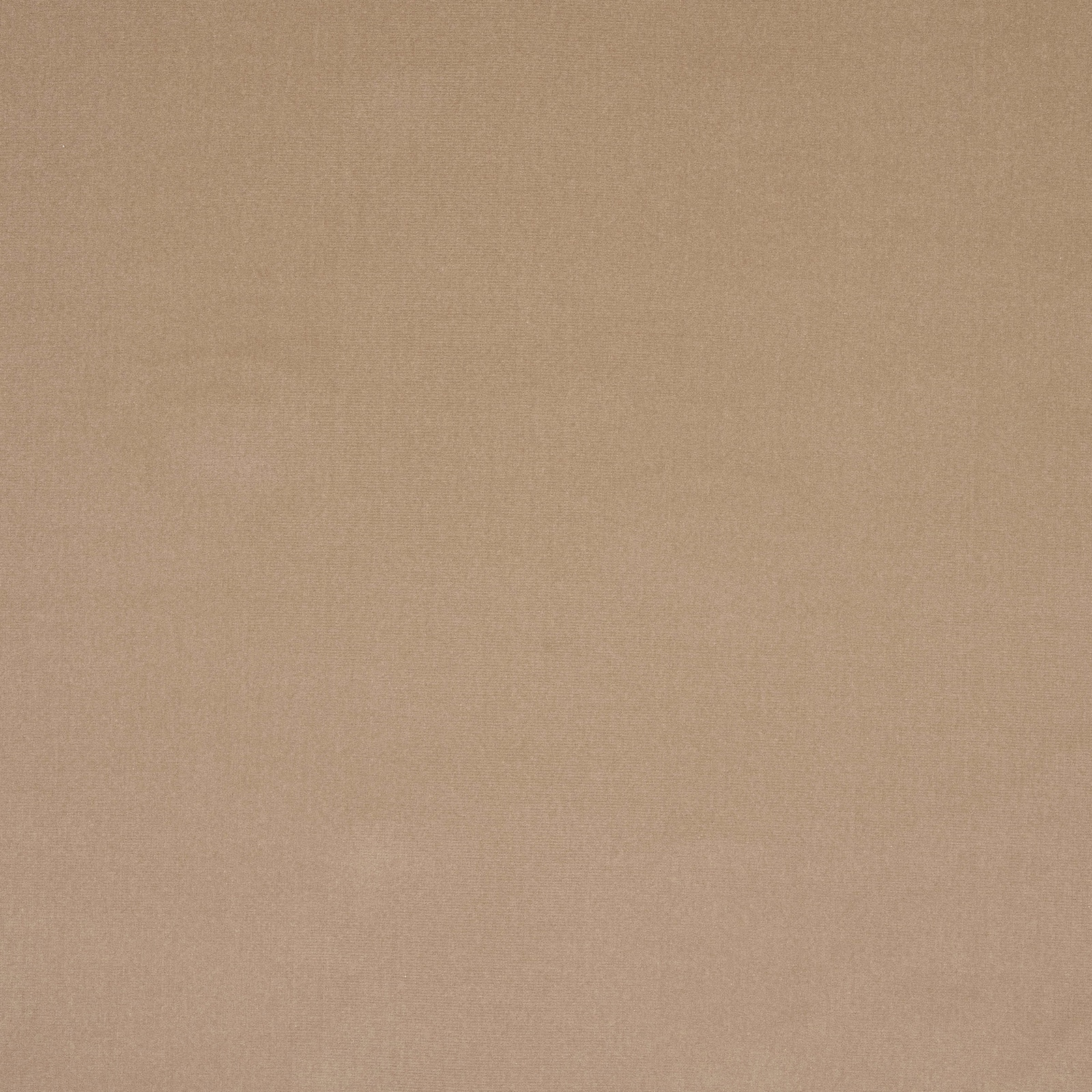 Plain soft greige fabric swatch with a fine, even weave