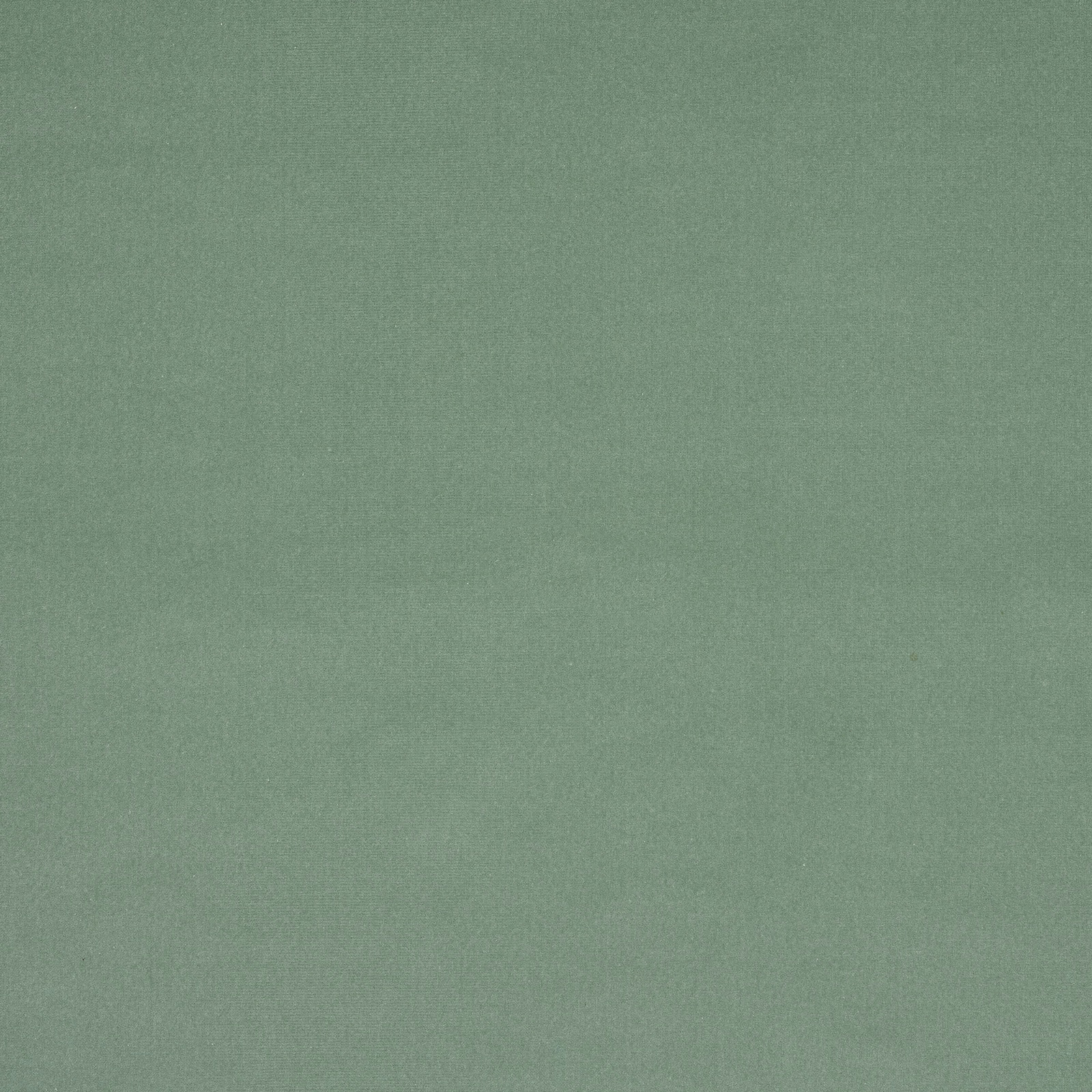 Soft sage green plain fabric swatch with a smooth, even finish