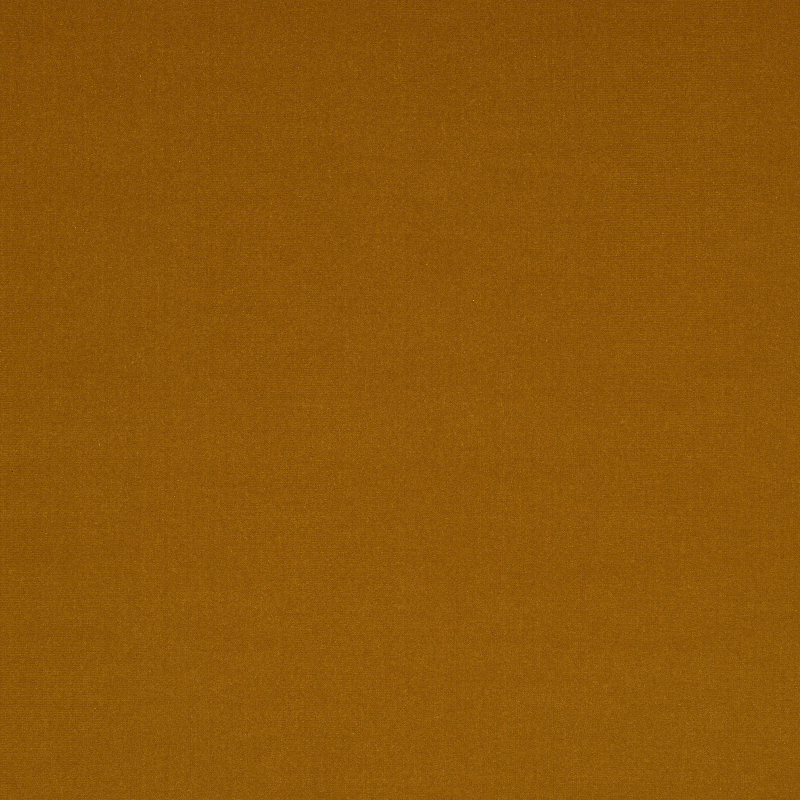 Solid warm mustard-gold fabric swatch with a fine smooth weave