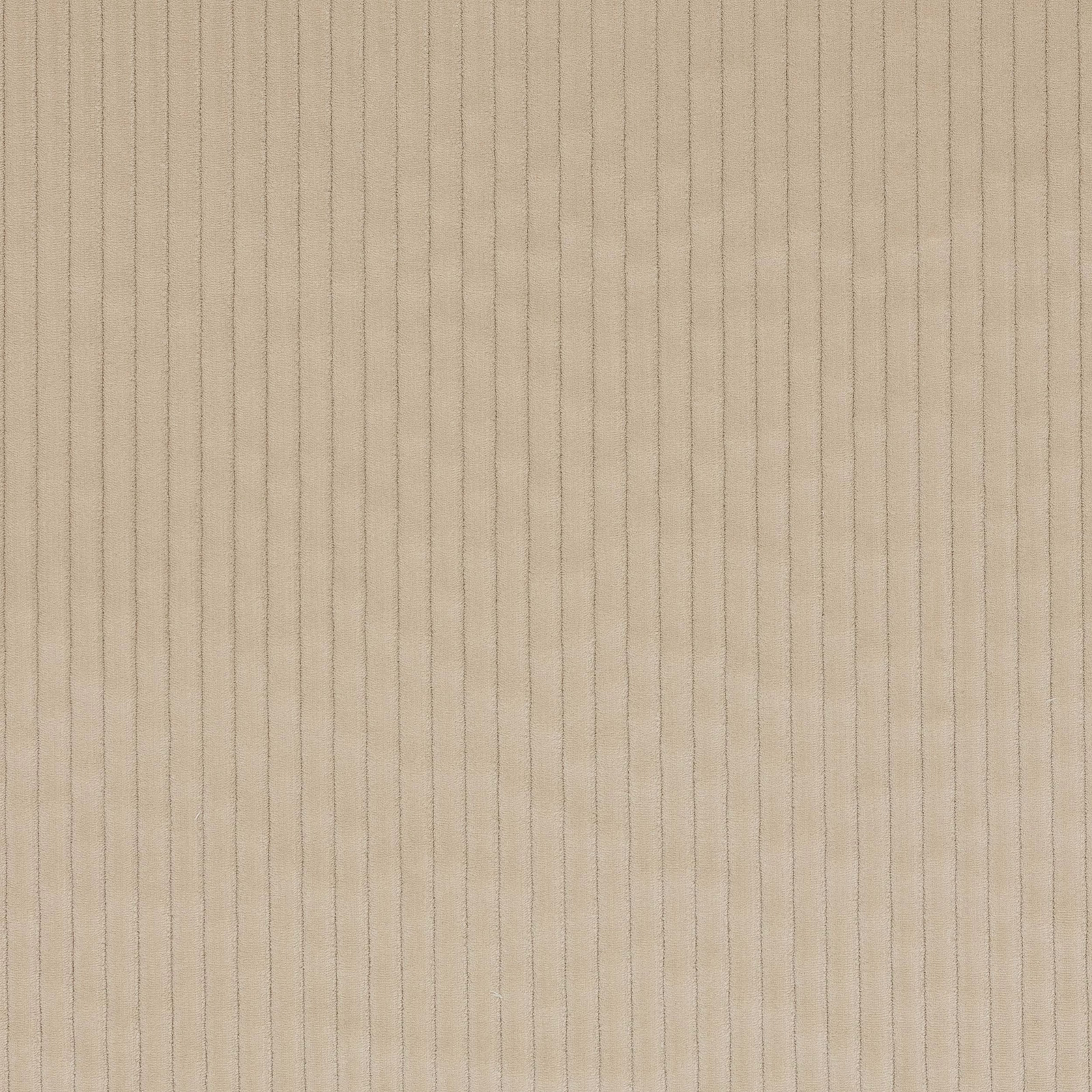 Close-up of soft greige cotton fabric with fine vertical pinstripes