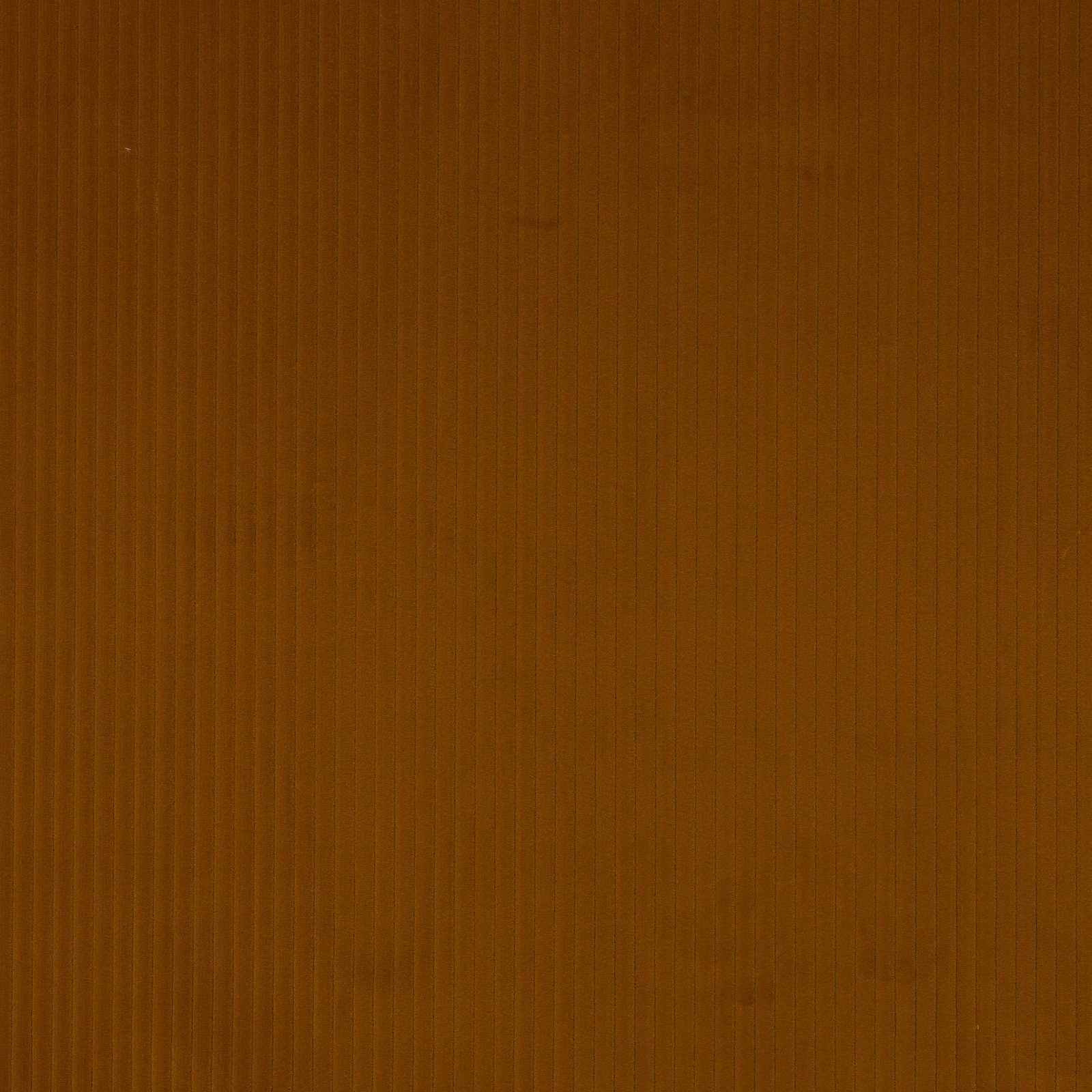 Burnished ochre gold cotton fabric with fine vertical striations and soft sheen