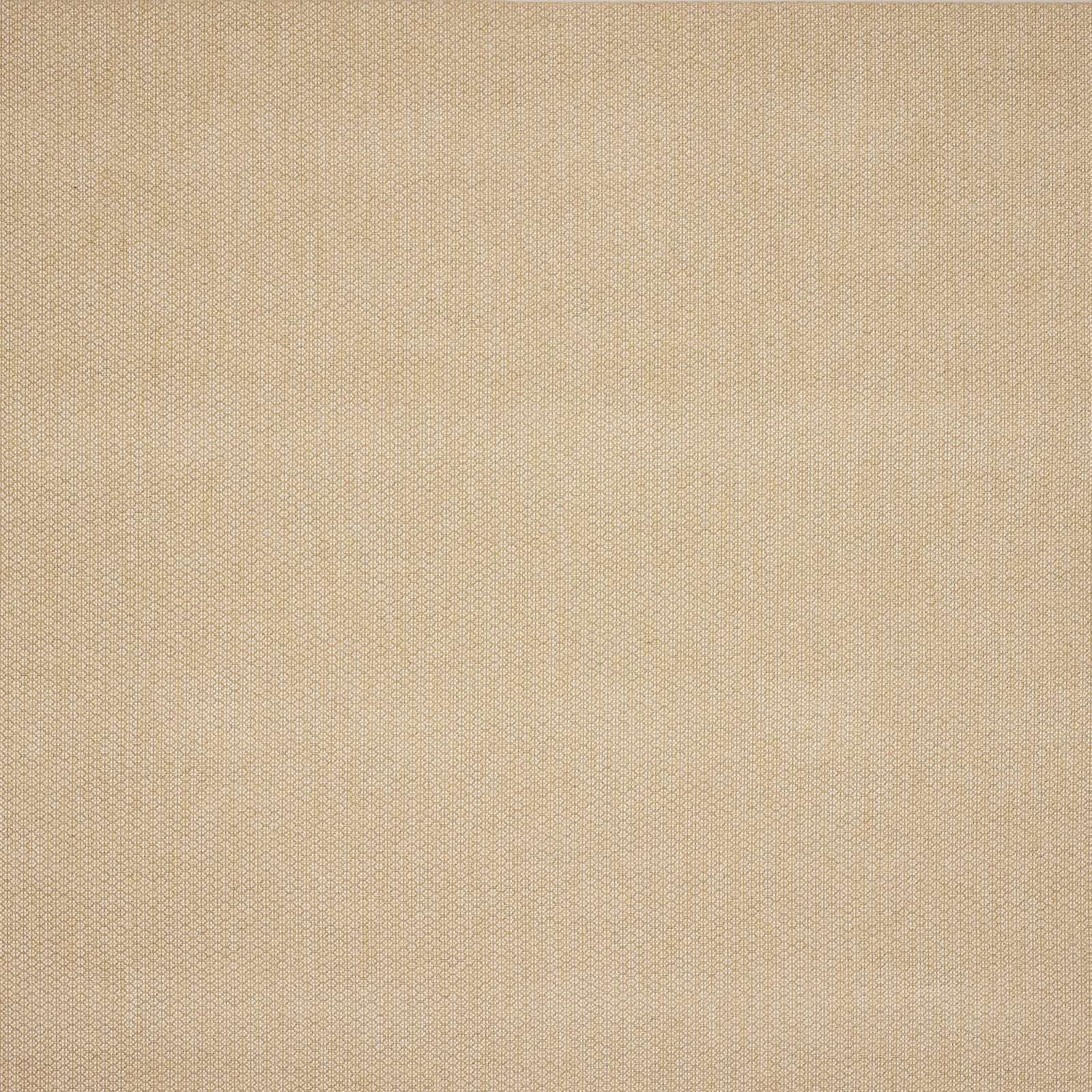 Warm beige plain weave fabric with fine textured surface