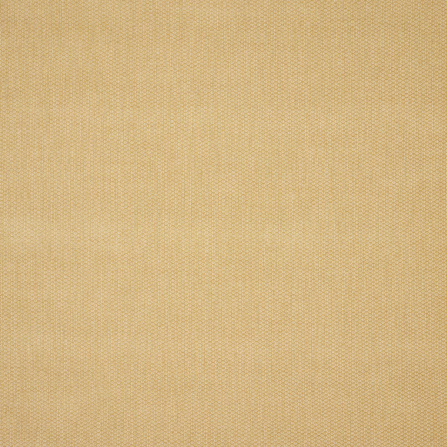 Close-up of a soft honey-gold plain weave fabric with fine texture