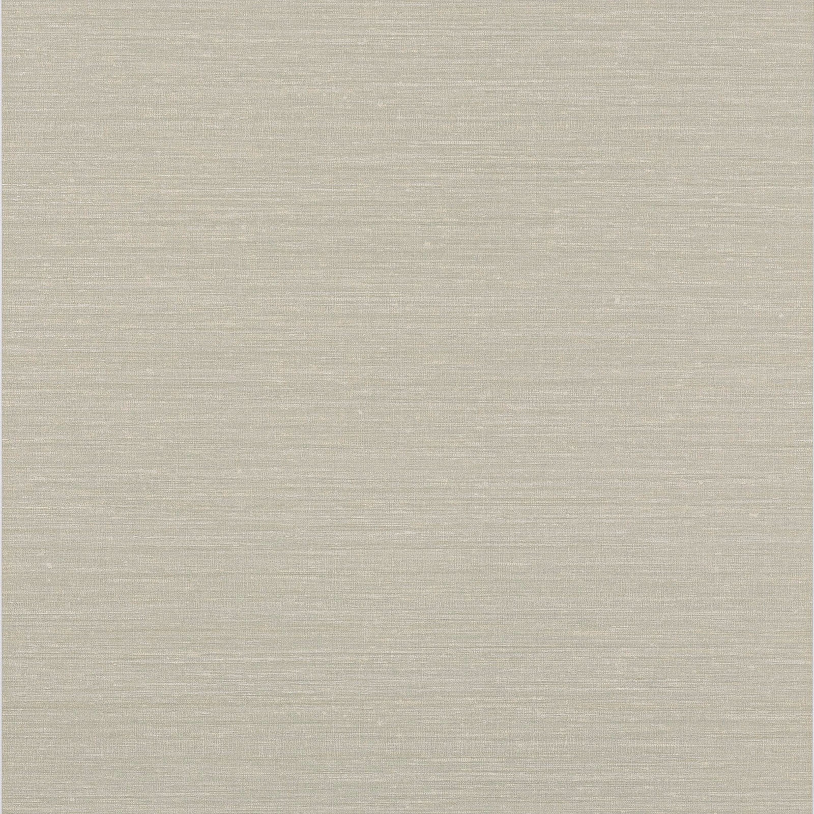 Pale silver-grey wallpaper with fine horizontal striations and a softly mottled surface