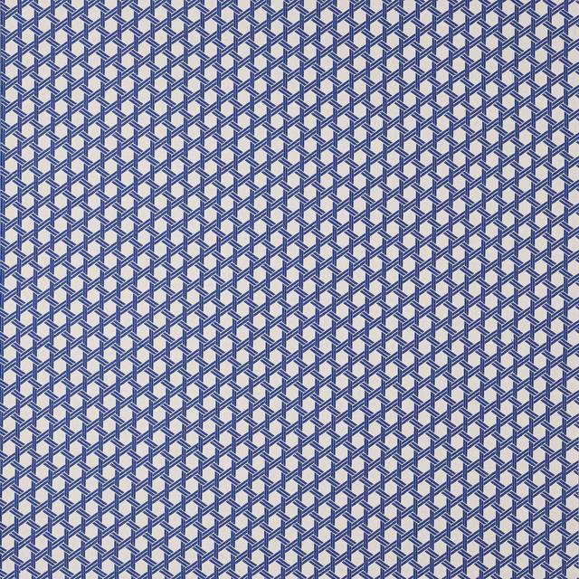 Blue and pale neutral geometric lattice fabric with a small repeating weave