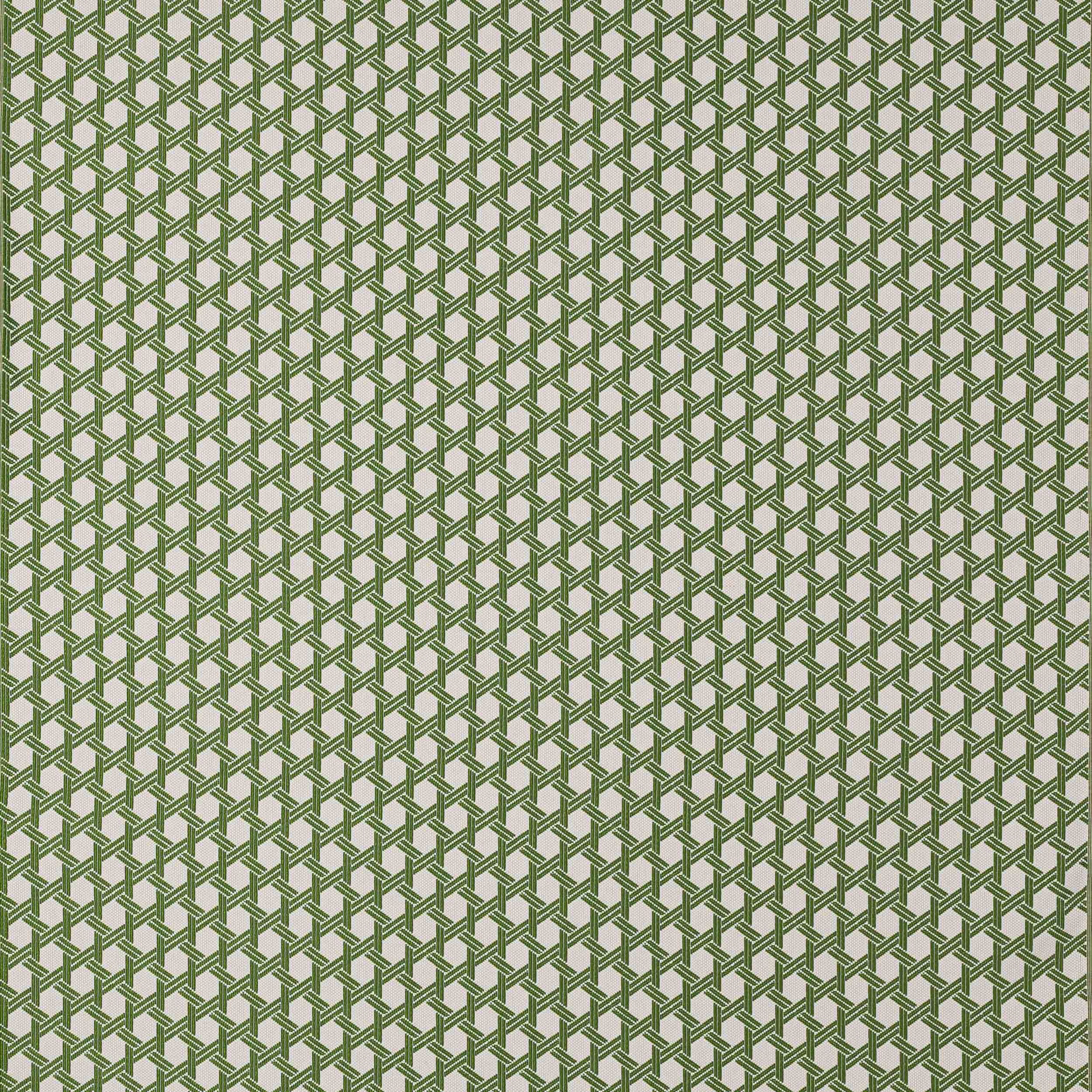 Close-up of Saint-Tropez Prairie fabric in sage green geometric lattice on a light ground